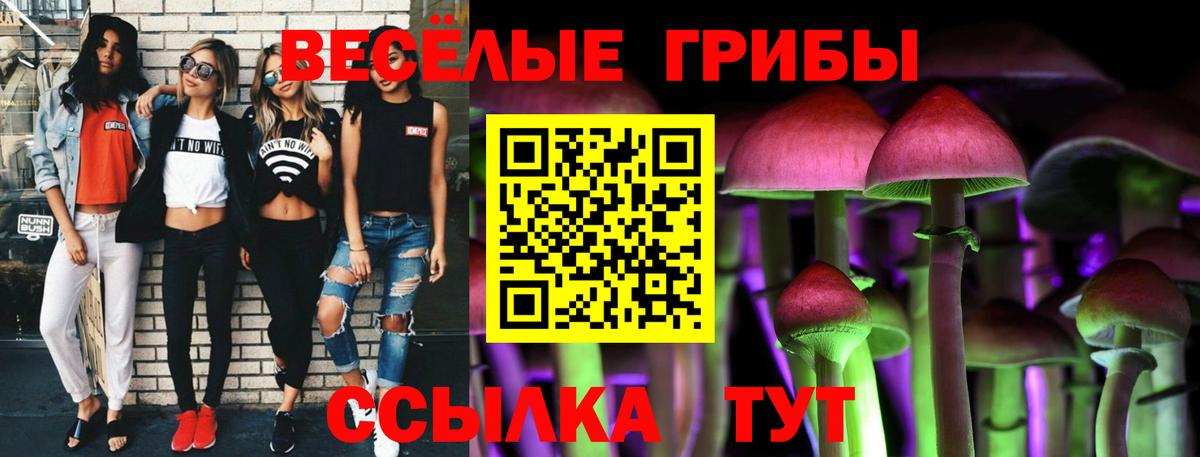 где продают наркотики  Псилоцибиновые грибы Psilocybe  Ростов Великий  Вход с VPN  Галлюциногенные грибы прущие грибы 
